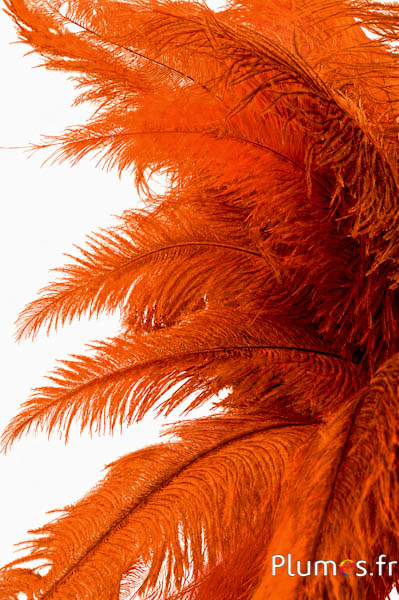 Strauss - 32-42 cm - hellgrau-orange
